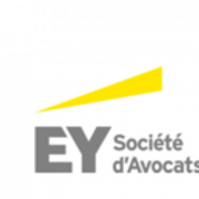 Avocat débutant en Droit Social - Paris 2024/2025 - H/F